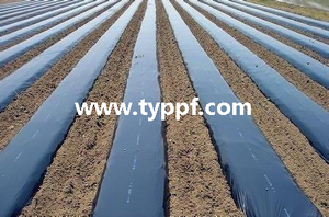20ft PE Mulch Film